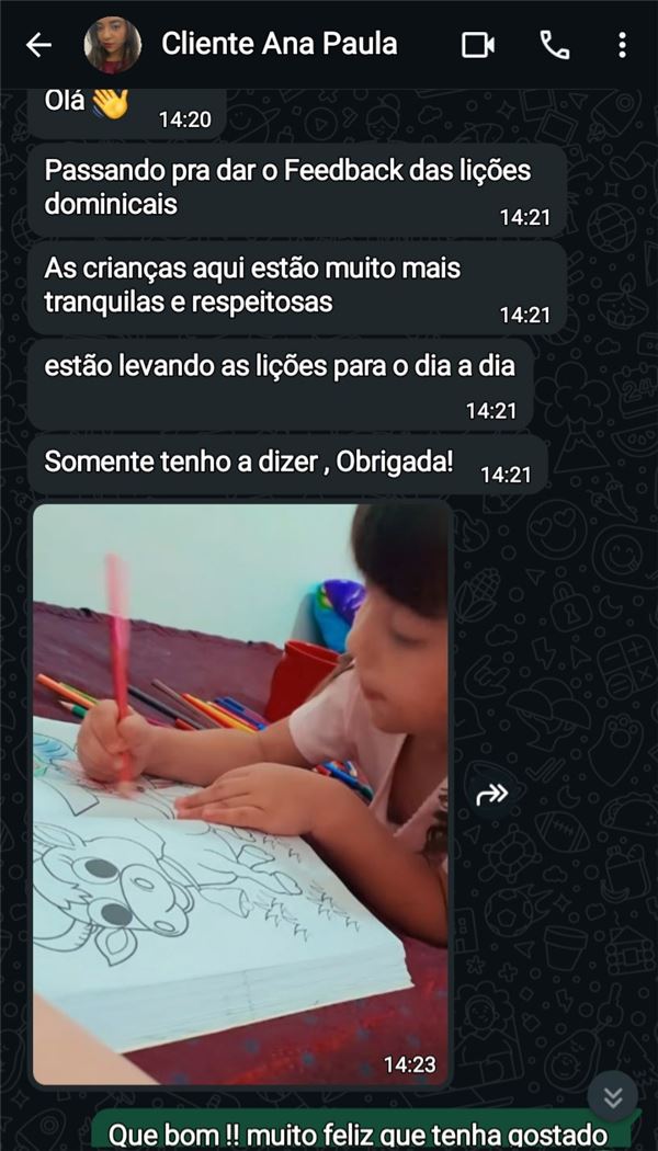 Conversa no WhatsApp com a cliente Ana Paula, com foto da criança pintando a atividade